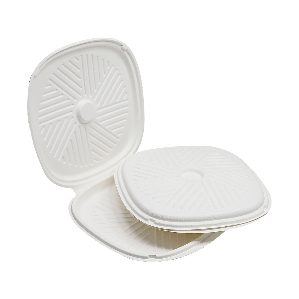 Sugarcane Bagasse Pizza Box