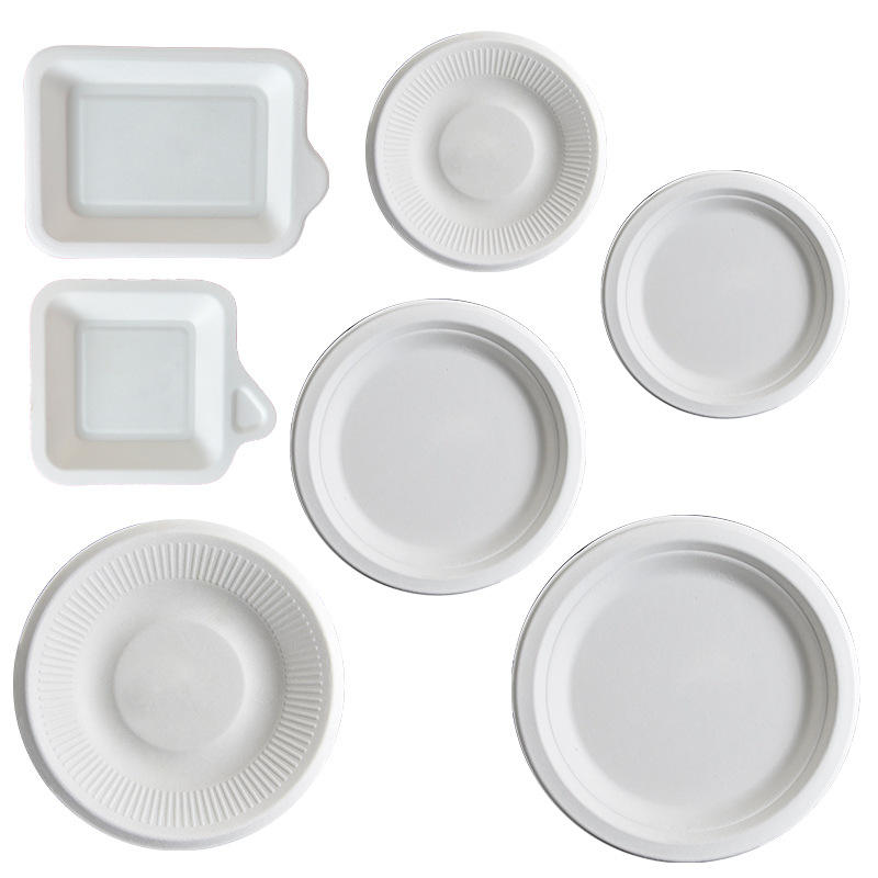 Sugarcane Bagasse Plates Wholesale