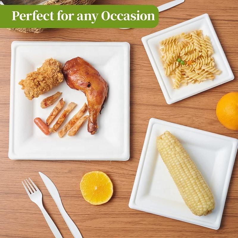 Sugarcane Bagasse Plates Wholesale