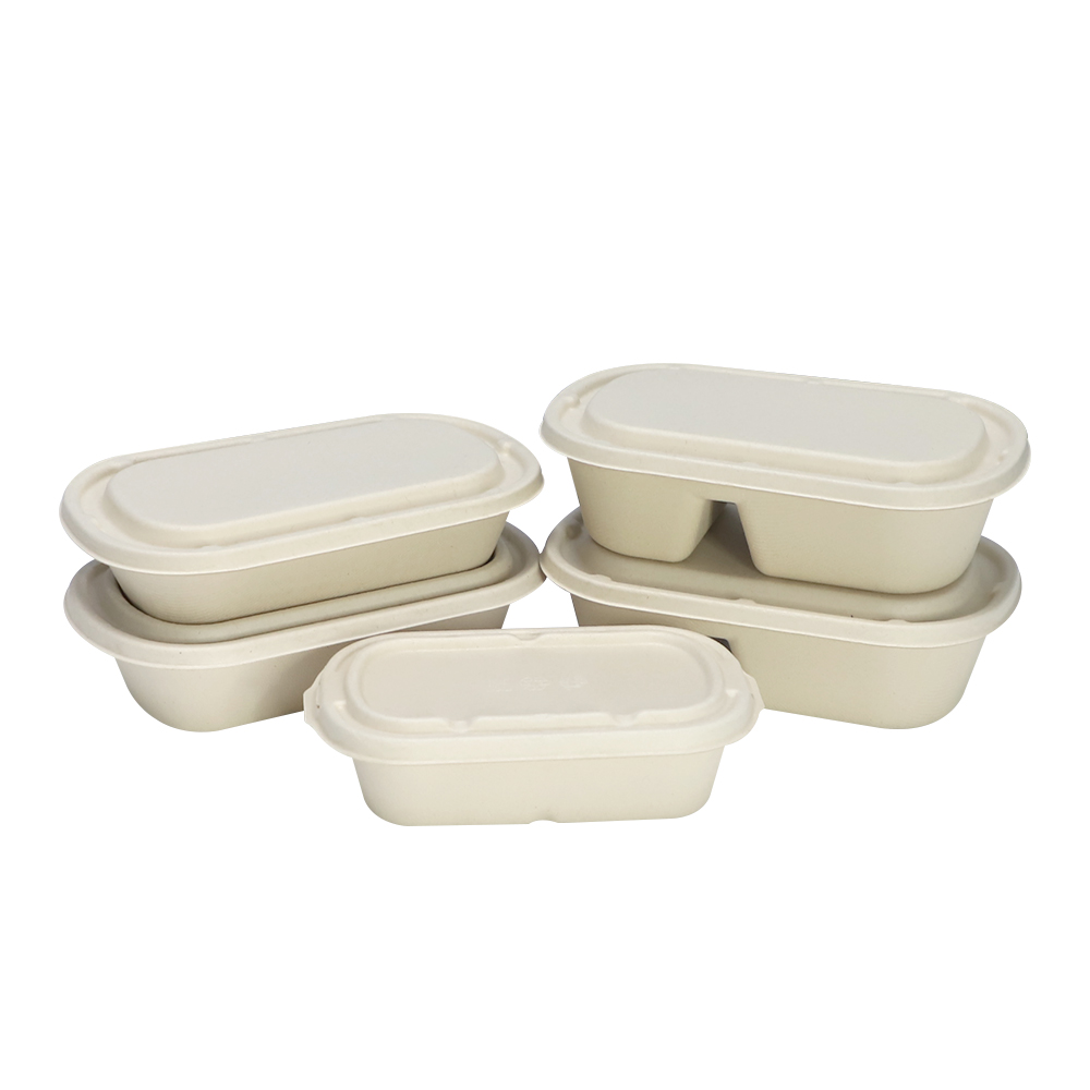 Sugarcane Bagasse To Go Boxes