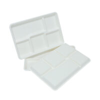 Sugarcane Bagasse Trays Wholesale