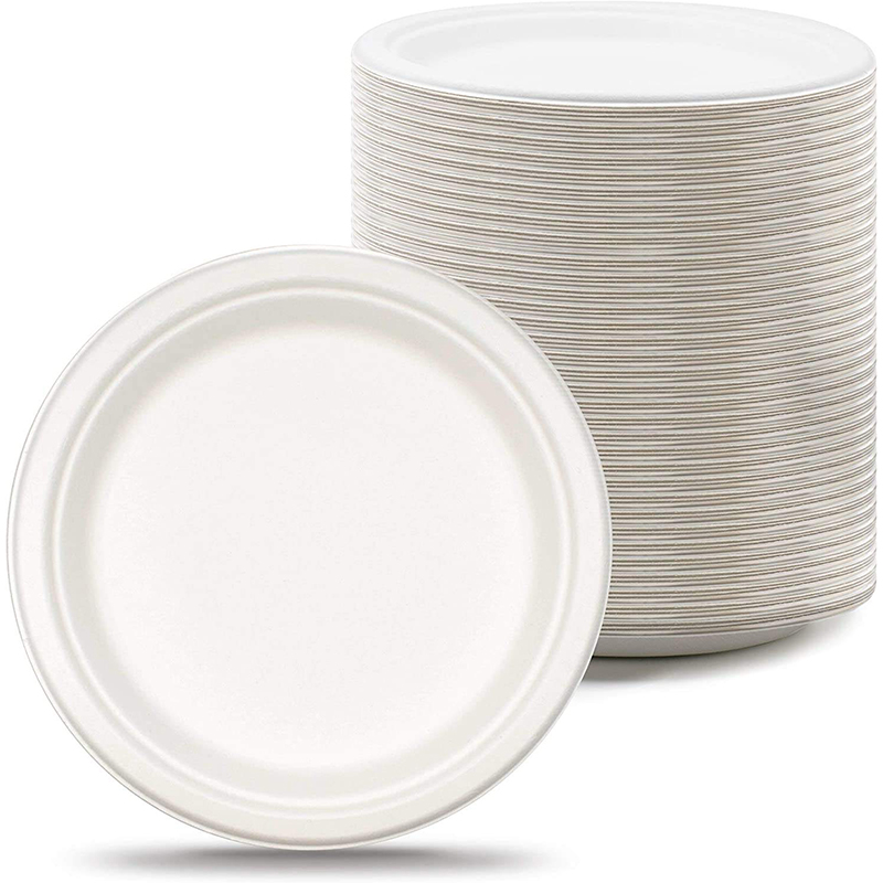 Sugarcane Plates Wholesale