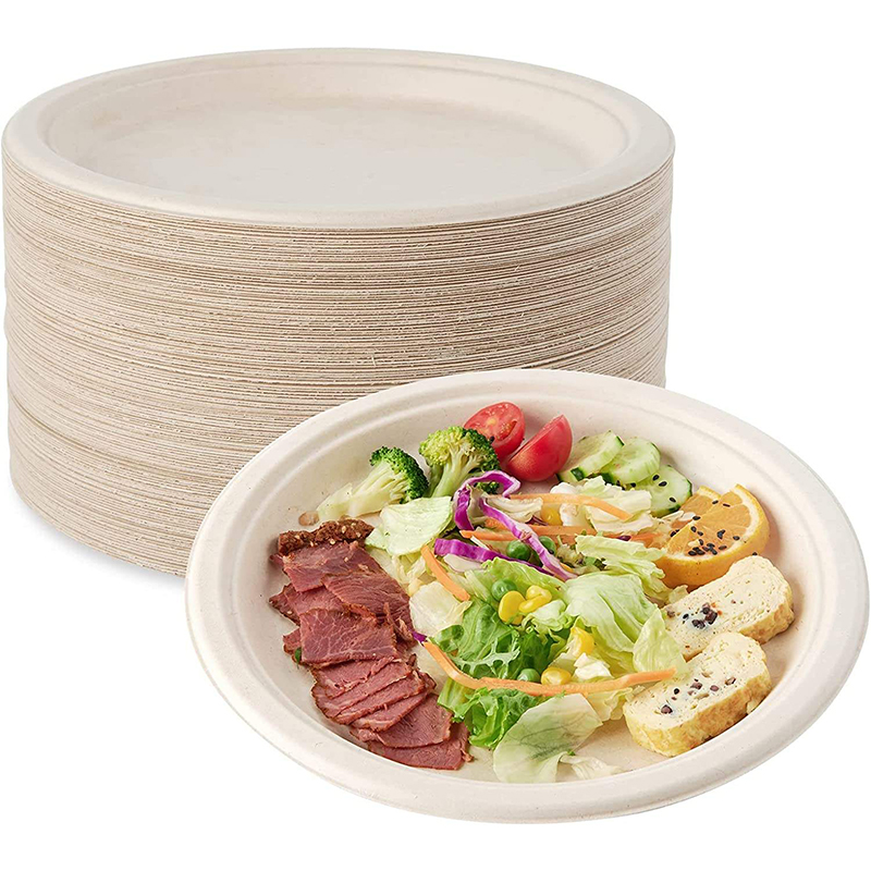 Sugarcane Plates Wholesale